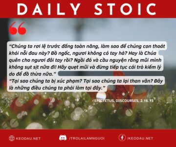 Ngày 5 tháng 6: XÌ MŨI CỦA BẠN ĐI